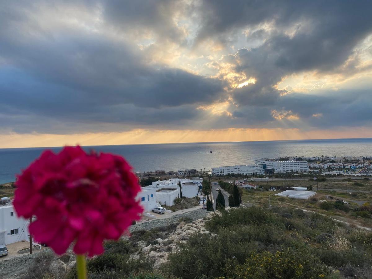 Melania Gardens Apartment 2 Paphos Exteriér fotografie